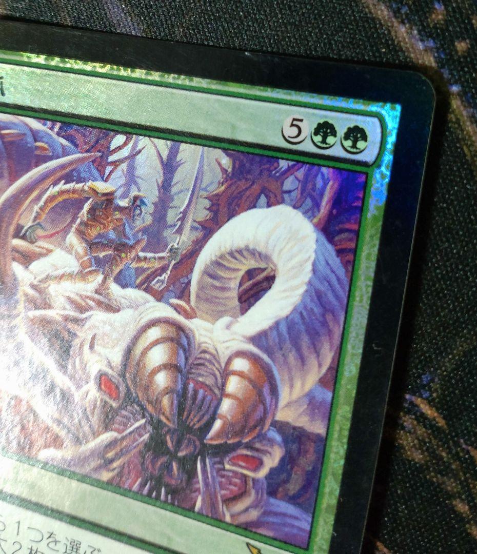 歯と爪　初版日本語foil