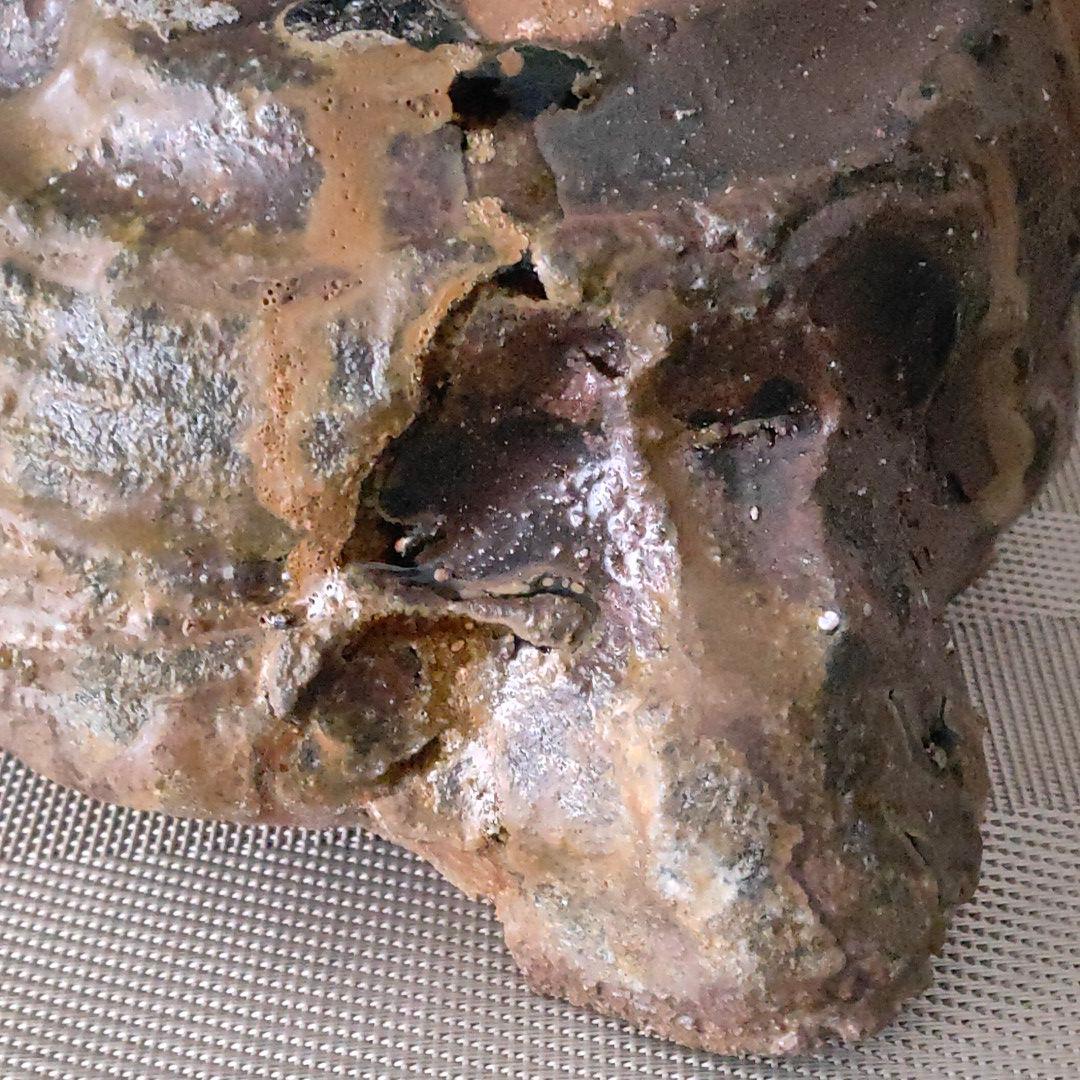 越前　片口　西浦武