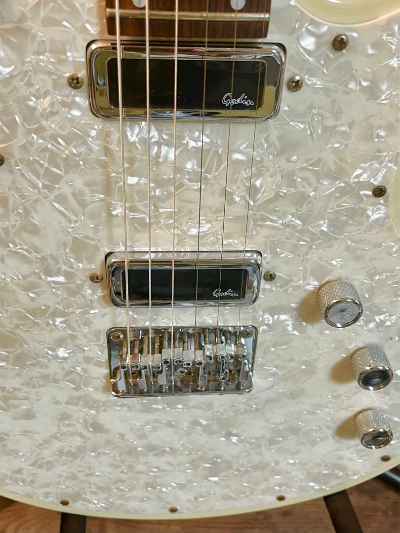 ギター Godin Radiator