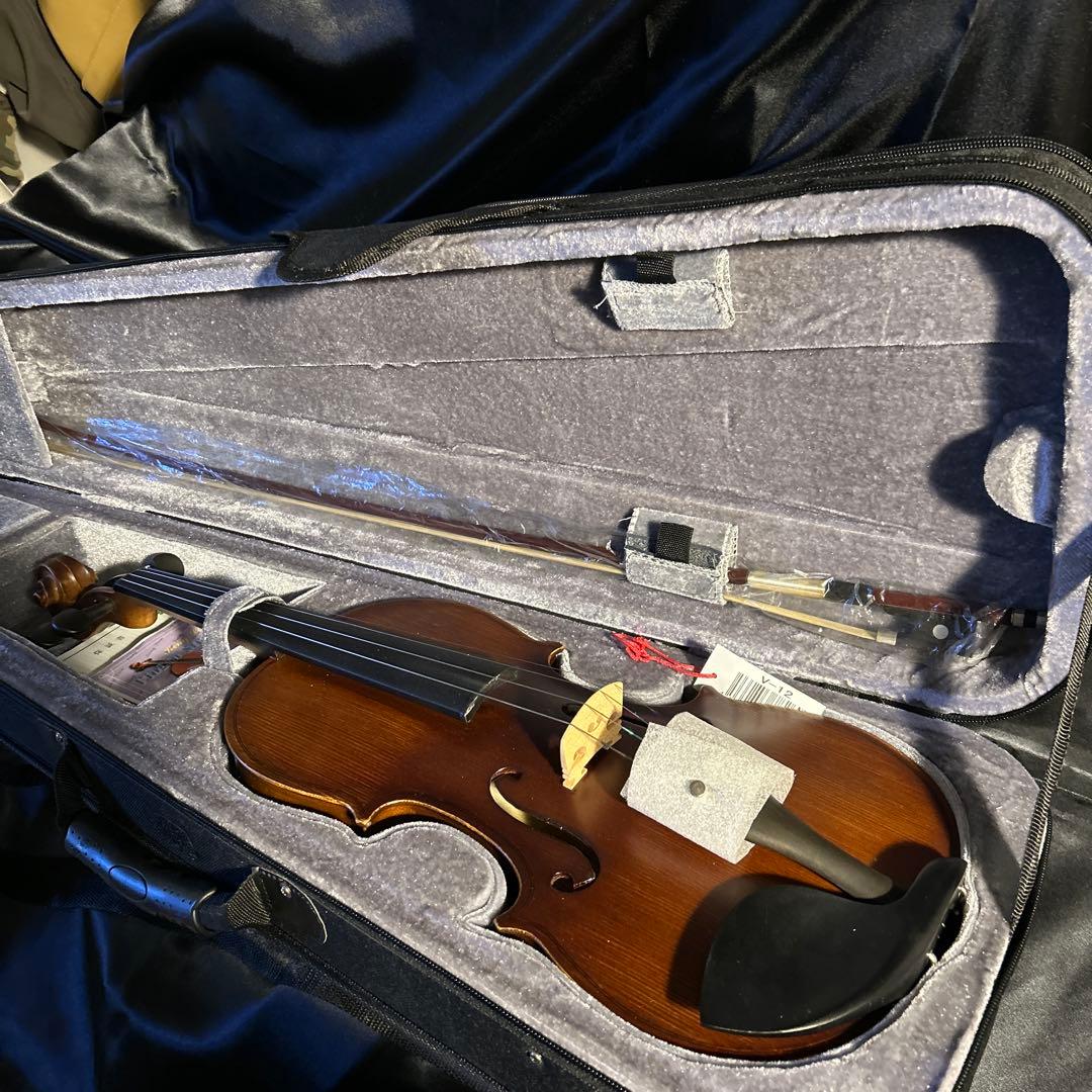 バイオリン　ハルシュスタット　セミハードケース付き。肩当て。