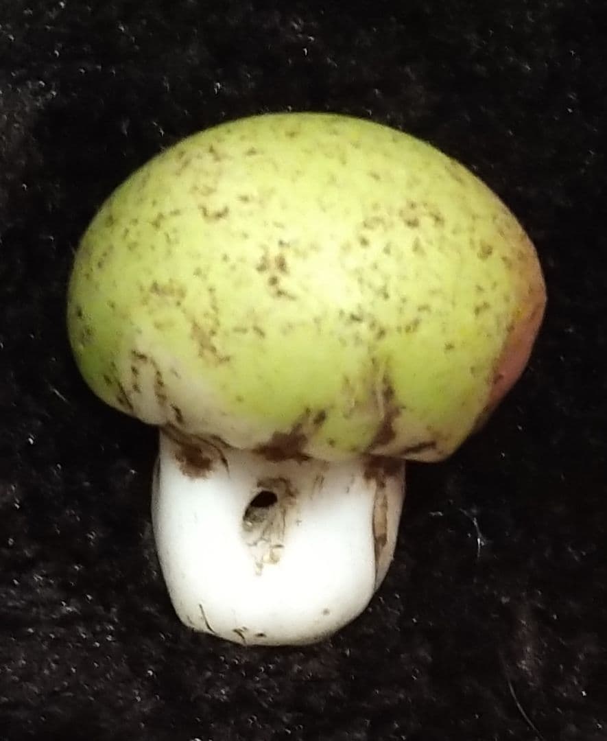 激レア 中国骨董品 アンティーク 少数民族 きのこ型 蜻蛉玉 硝子ビーズ