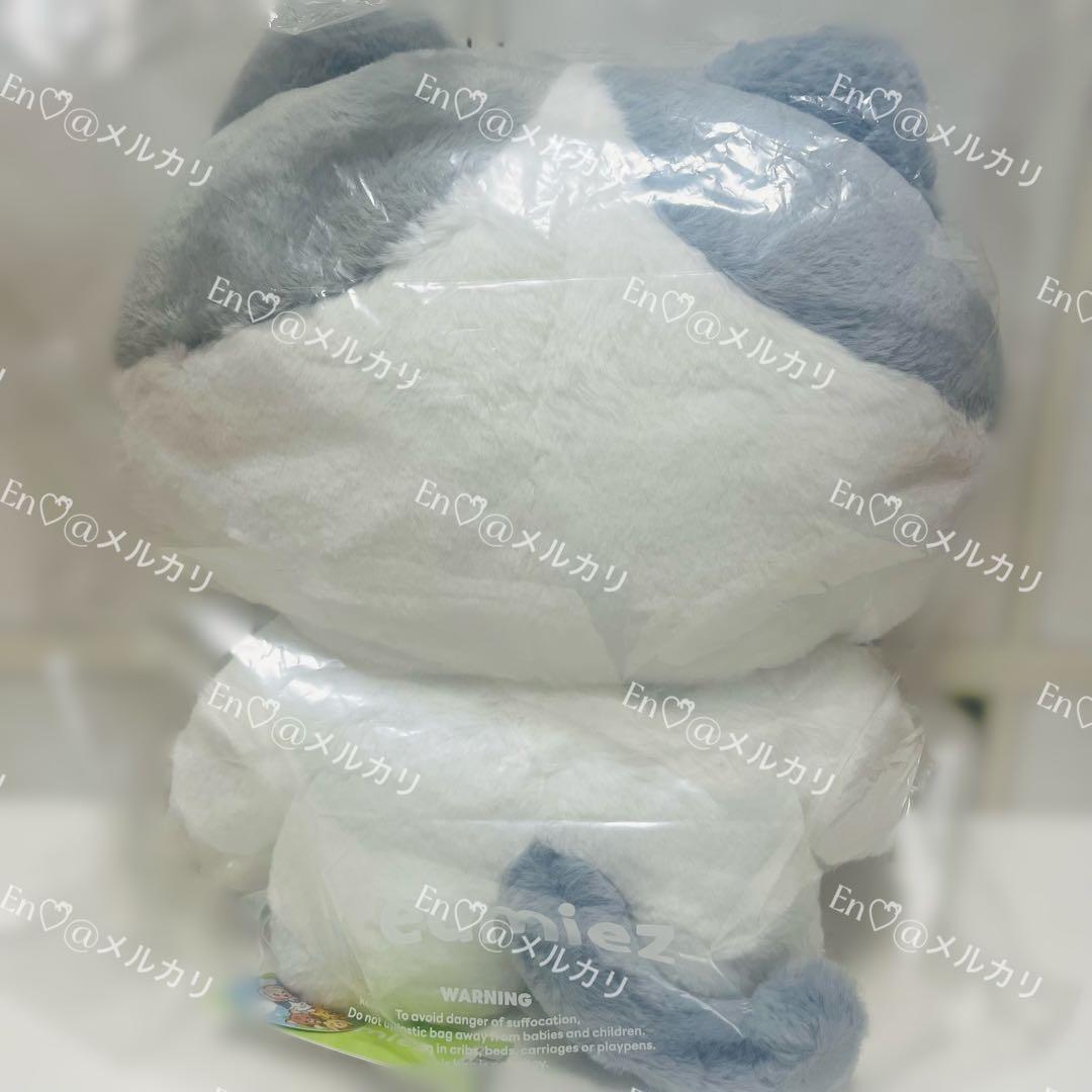 NCT DREAM チョンロ Dreamiez フラットぬいぐるみ クッション