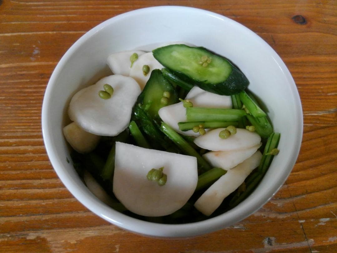 枝取りアク抜き済み！　北秋田阿仁産手作り塩蔵実山椒50ｇ×20パック