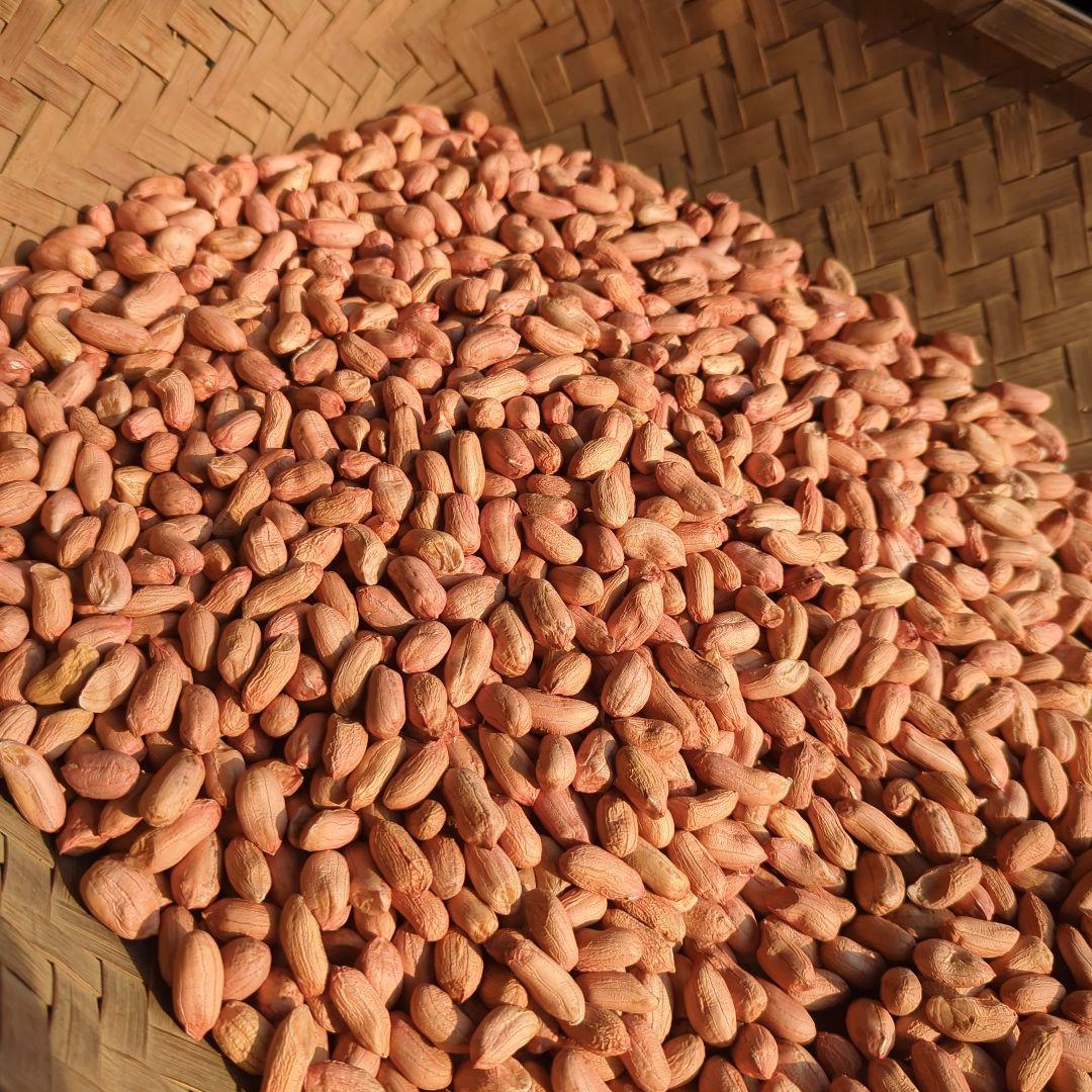 Naoto　千葉県産 おおまさり 手むき 乾燥生落花生