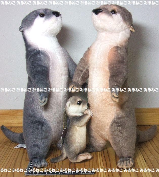 特大 アートドール リアルアニマルズ カワウソ 全2種 おねだり 未使用 セット