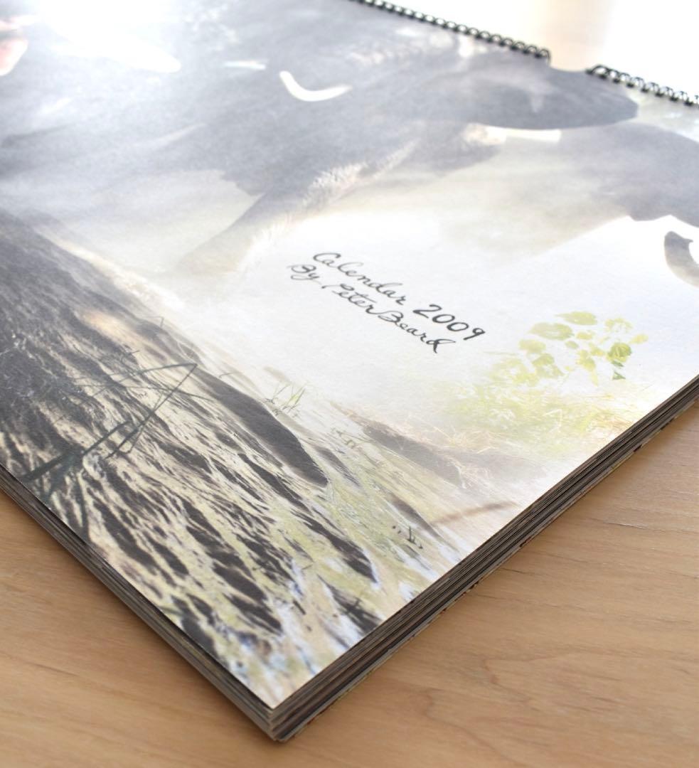 Peter Beard カレンダーPirelli 2009