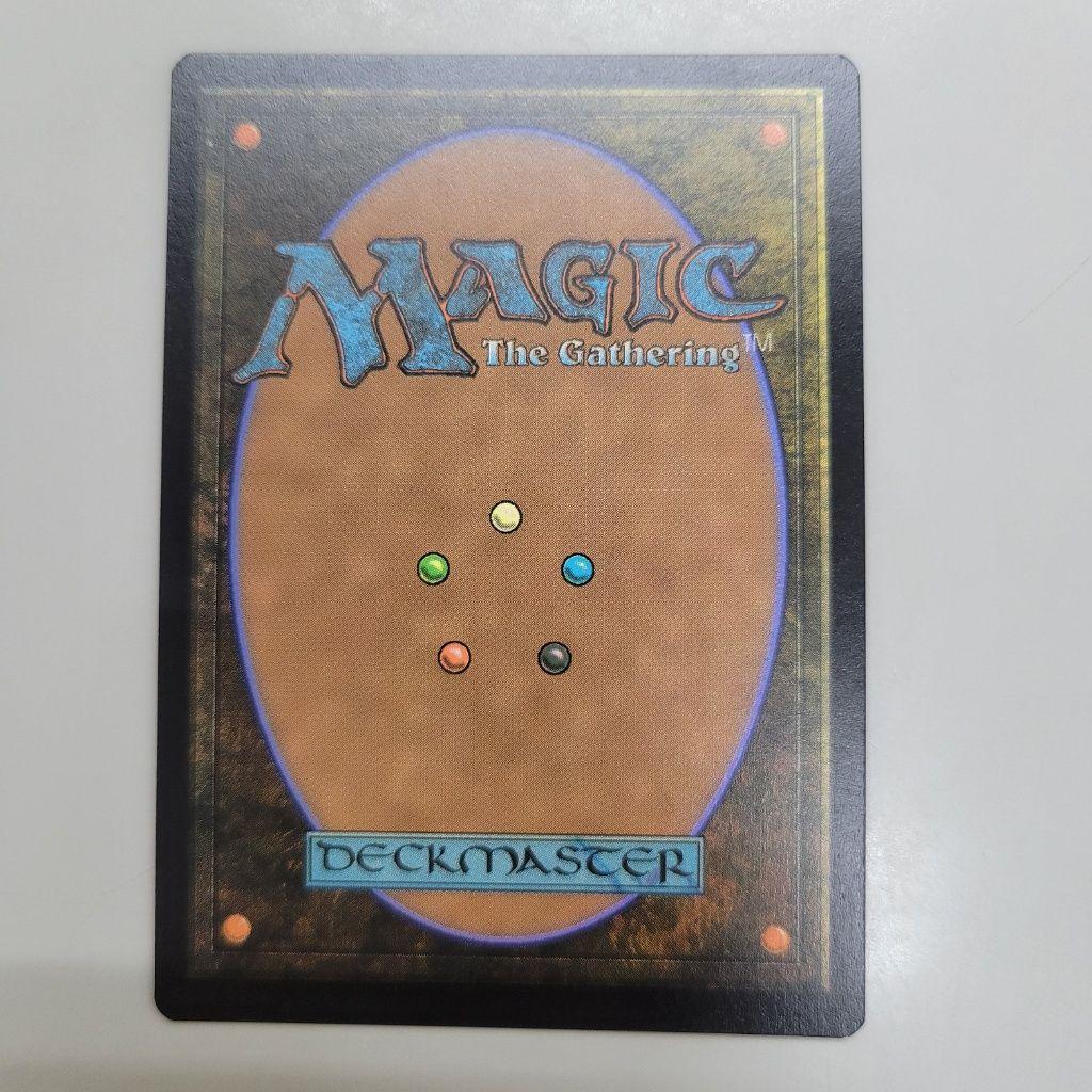 MTG 稀少 パパリモ・トトリモ 日本語 拡張アート FOIL