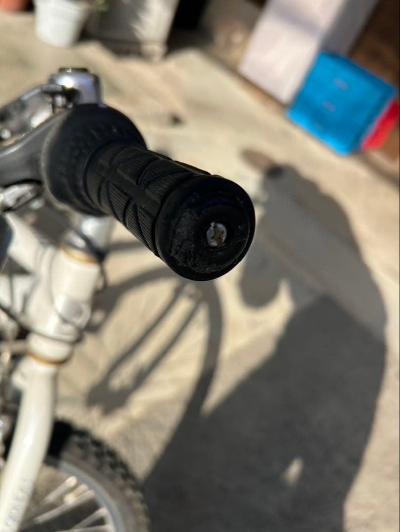 【送料込】LOUIS GARNEAU クロスバイク キッズバイク ルイガノ