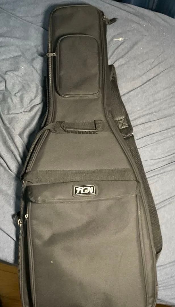 ギター FGN (Fujigen) NTL10MAH SBB