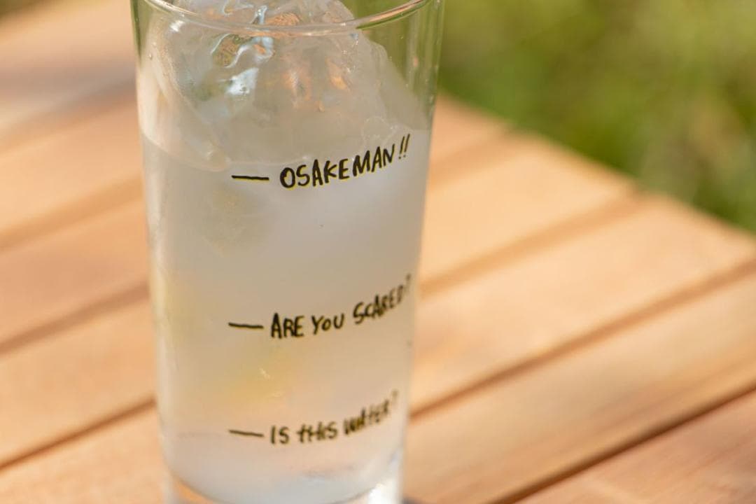 【新品未使用】ヒルズフィールド　グラスケース＆パイントグラス2個セット