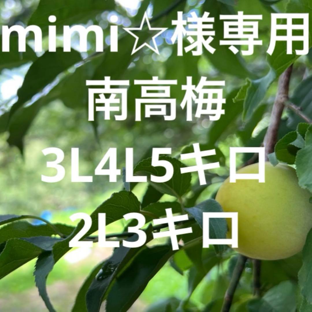 mimi☆南高梅3L4L 5キロ2L 3キロ