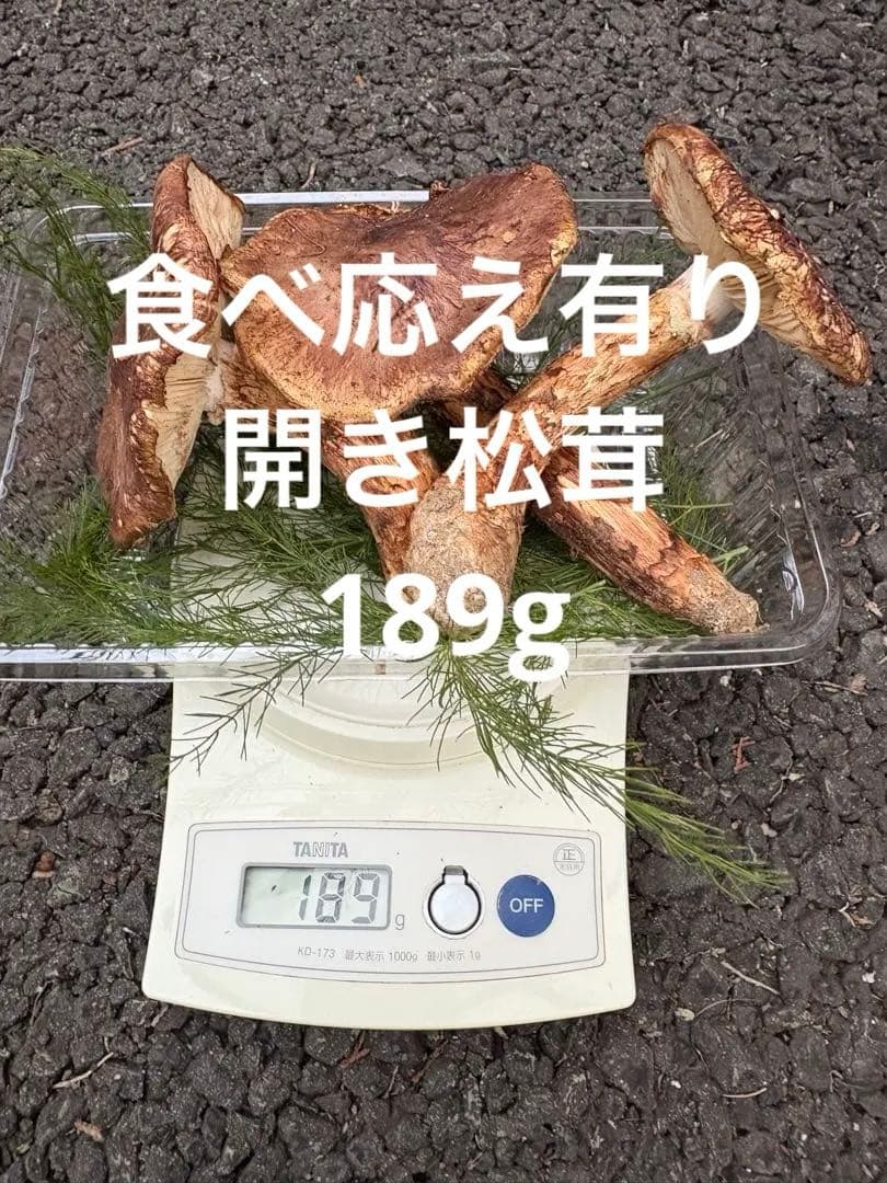 【お値打ち限定1点】岩手雫石町産 天然 開き、香り良い松茸 3本 189g