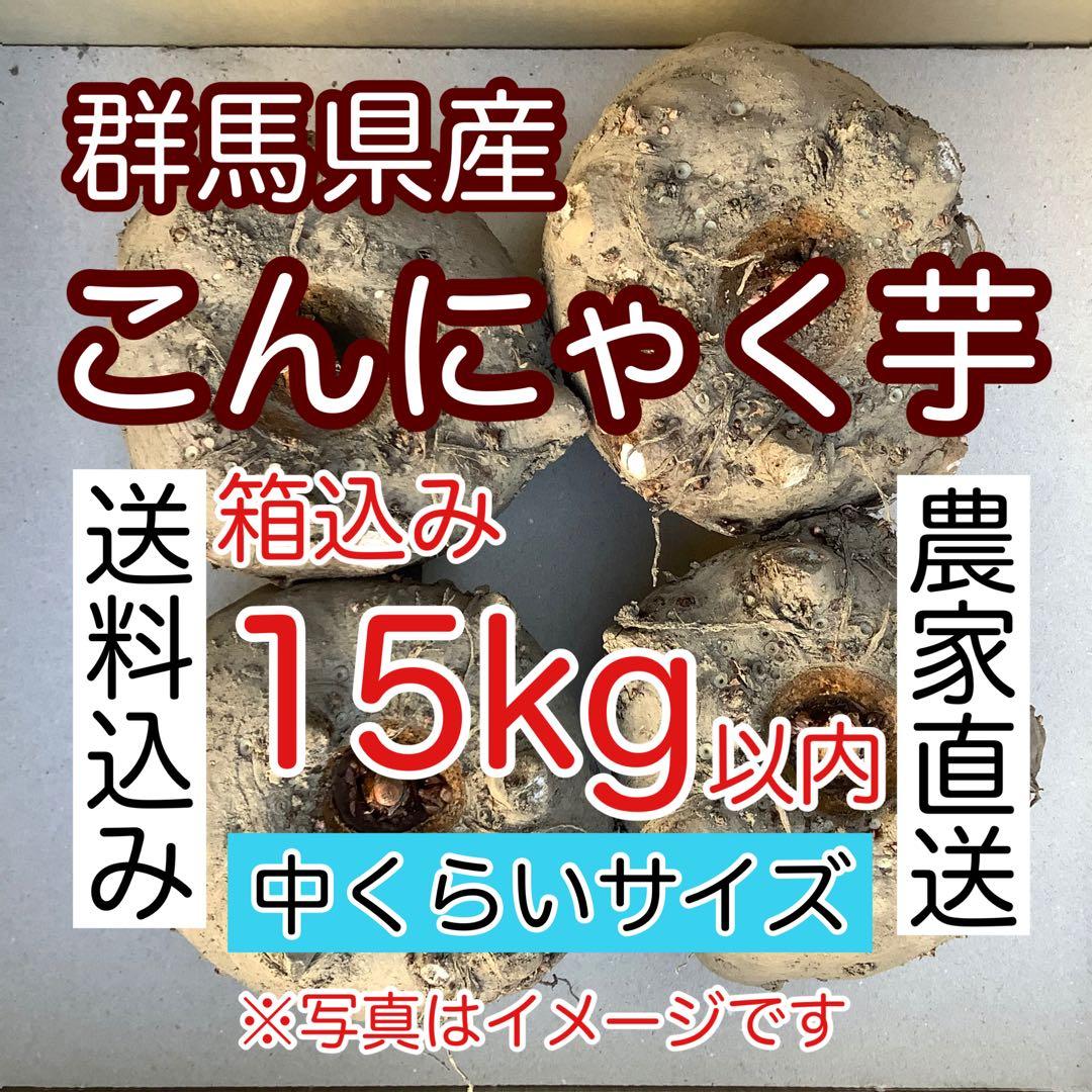 【群馬県産】こんにゃく芋　箱込み15kg以内　手作りこんにゃく用【中サイズ】
