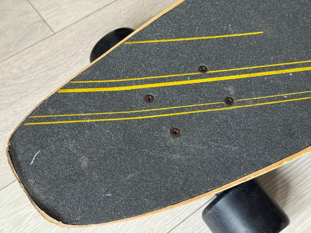 ランドヤッツ ピンテールロングボード – 咆哮する熊グラフィック