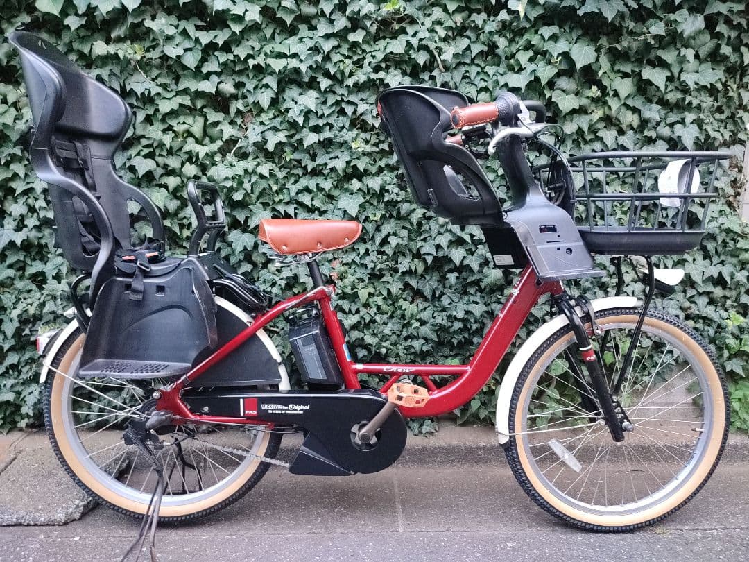 大容量12.3ahバッテリー カラーコーデ パス クルー 3人乗り