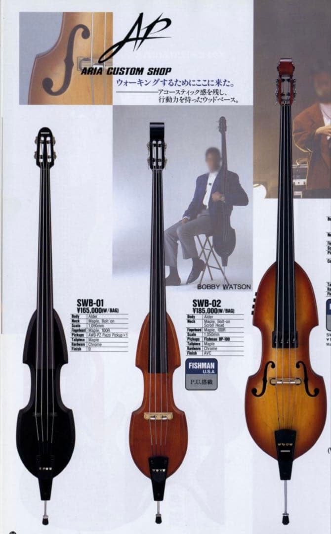Aria SWB-02 Fishman ピックアップ搭載 ケース付き