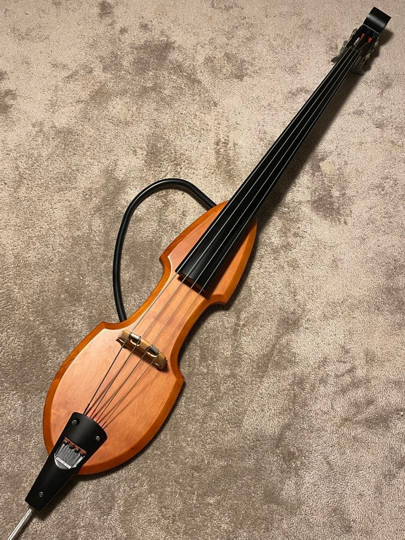 Aria SWB-02 Fishman ピックアップ搭載 ケース付き