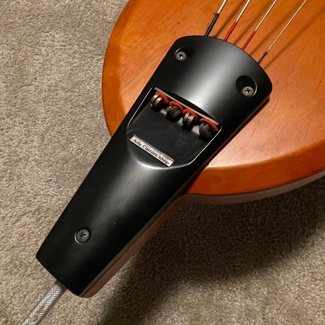 Aria SWB-02 Fishman ピックアップ搭載 ケース付き