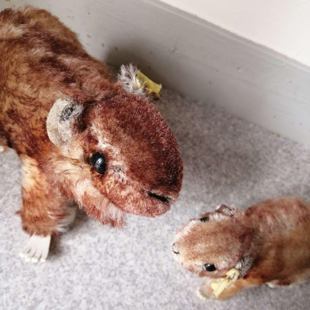 シュタイフ マーモットの親子