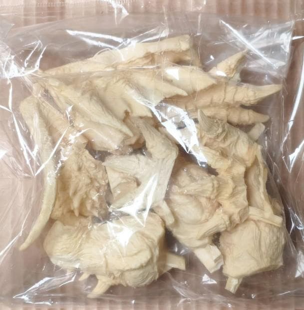 海洋堂 酒井ゆうじ原型 デスギドラ モスラ レジンキャスト ガレージキット