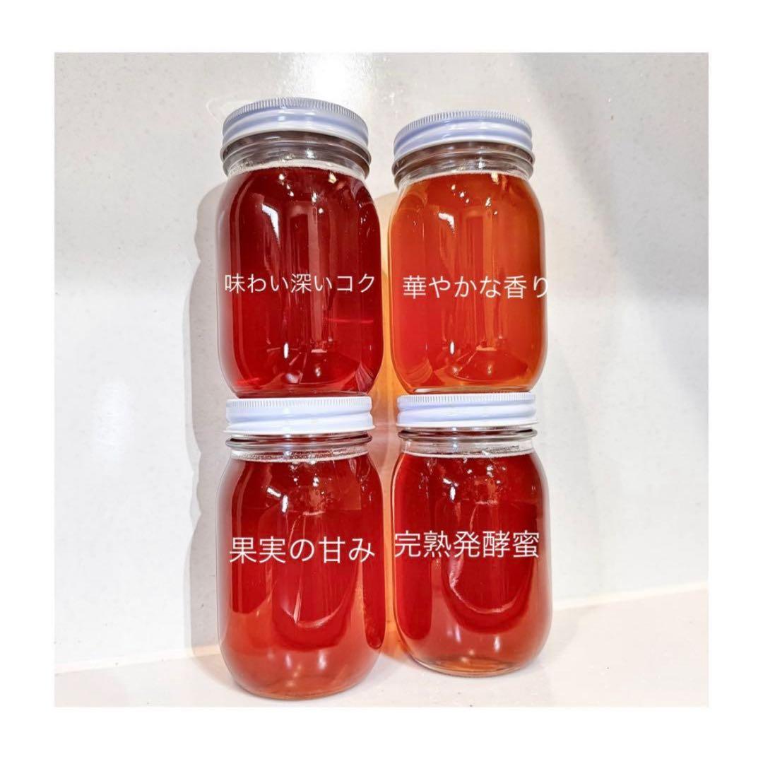 高知県産　生百花蜜　生はちみつ　非加熱　日本蜜蜂　ニホンミツバチ