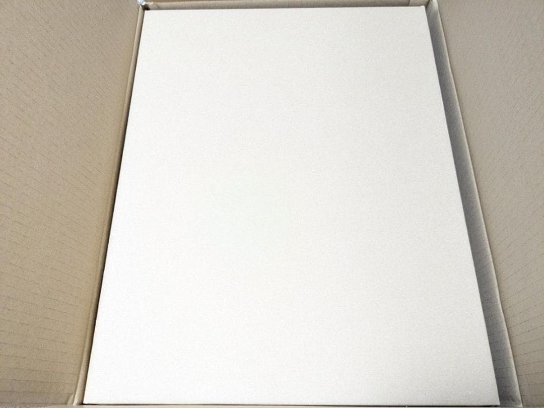 新品 ラストオリジン 等身大おっぱいマウスパッド 宝蓮