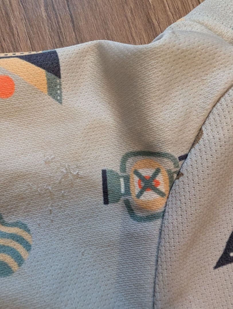 アルファアイコン 2023モデル 限定 クールドッグガード 本日まで