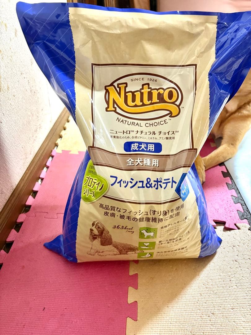ニュートロ ナチュラルチョイス フィッシュ＆ポテト 全犬種用 成犬用 6kg