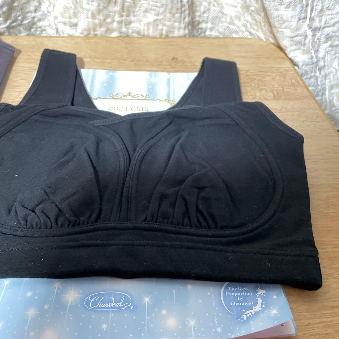 シャンデールおやすみインナーM