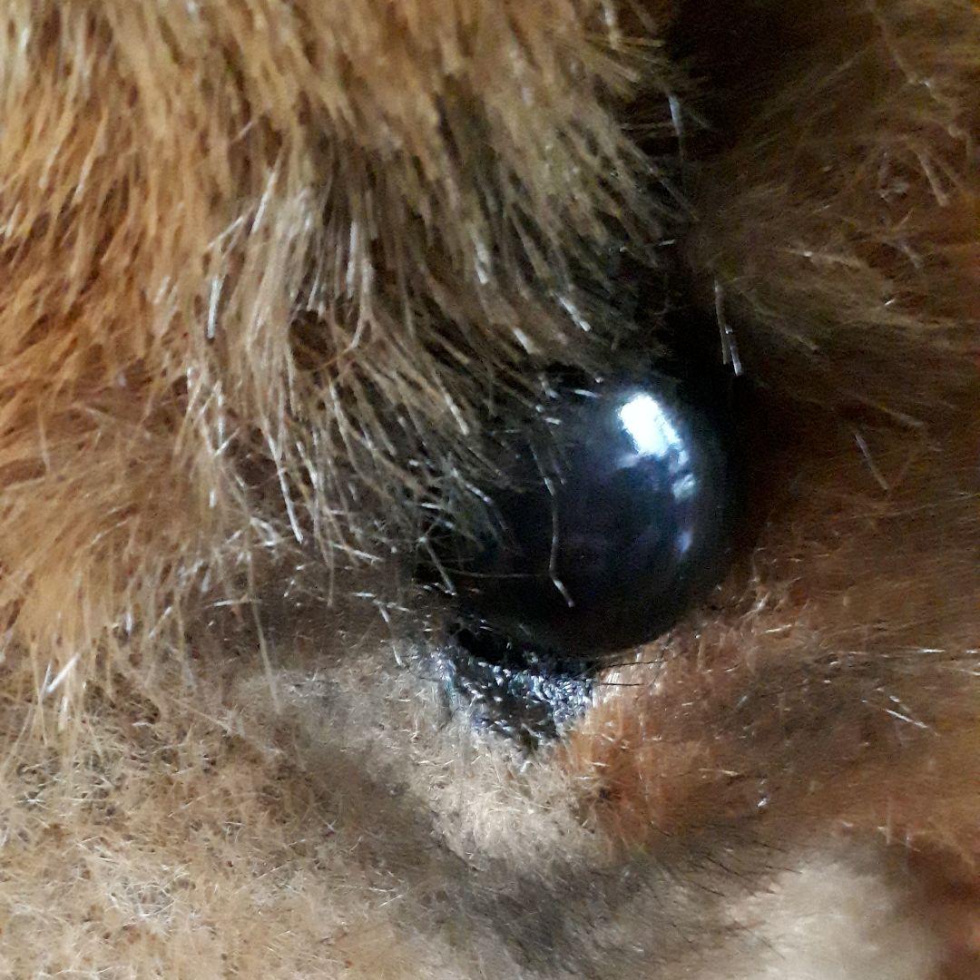 ぬいぐるみ特大　チャウチャウ　中国犬