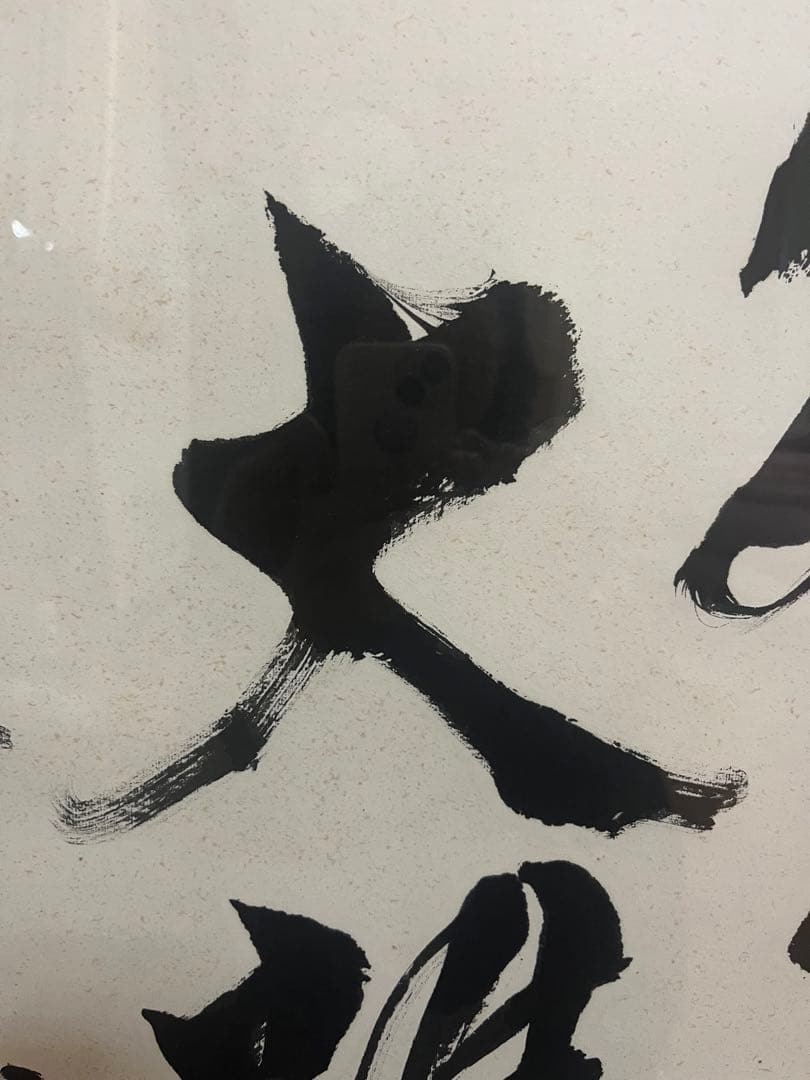 書作品　独坐大雄峯　青木宏之　天外　書アート　インテリア　額入り