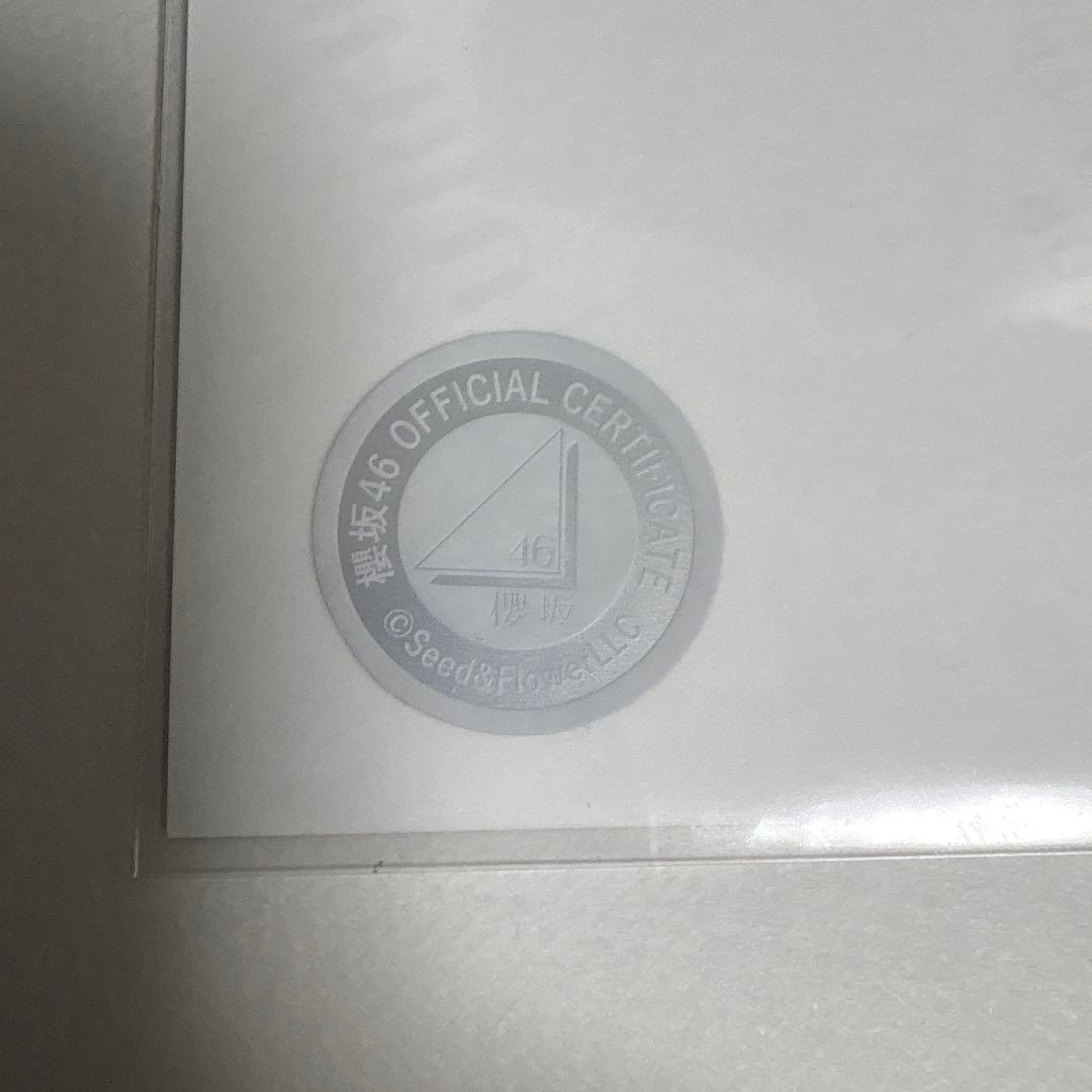 松本和子 櫻坂46 2025年 サンタ 生写真 直筆サイン