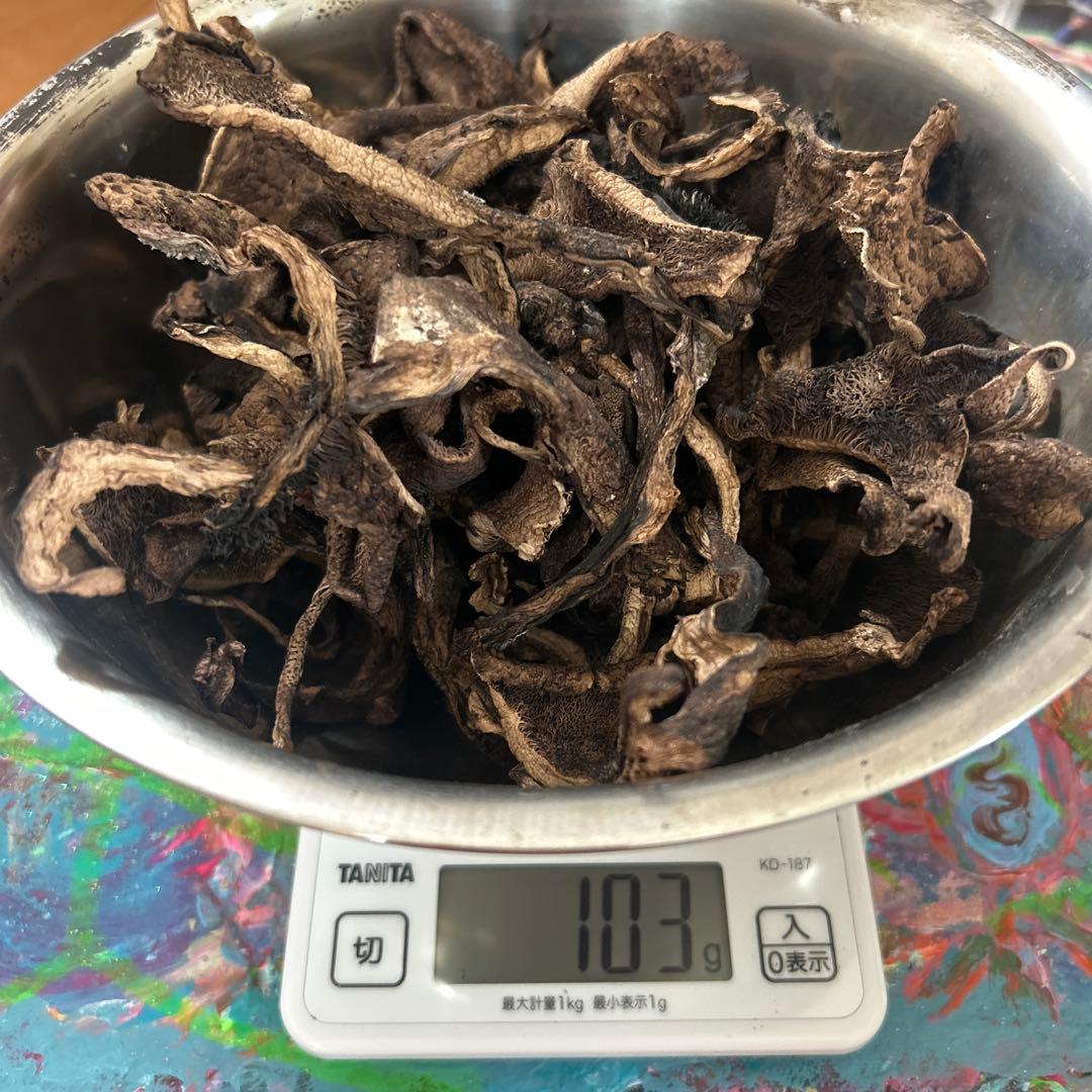 長野県産　令和7年乾燥香茸　良品 103g