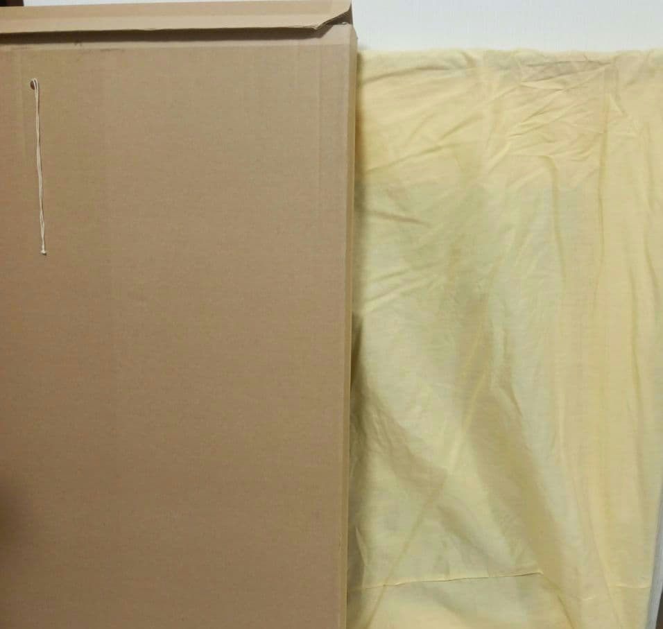 値下げ　レイモン・ペイネ　リトグラフ 恋の湖 サイン入り　限定250部