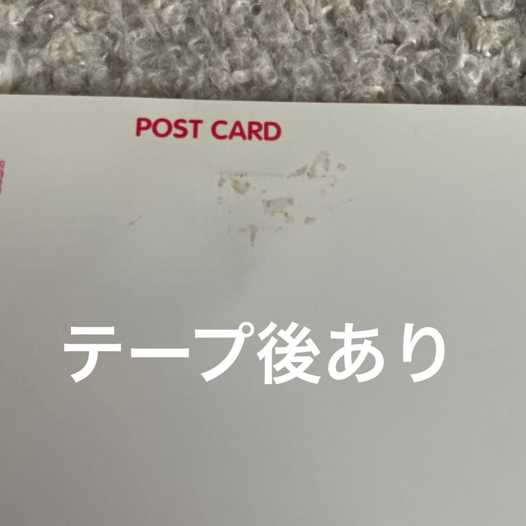 限定品！非売品！2012年年賀状　時計野はり　学園ベビーシッターズ