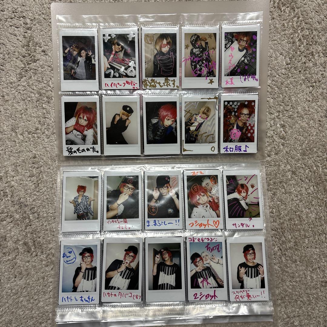 コドモドラゴン　ハヤトチェキ　100 枚セット