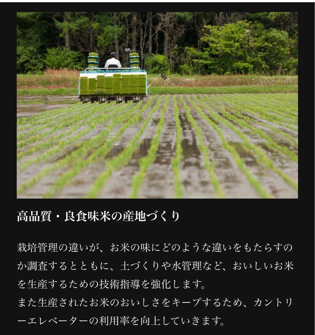 米　特別限定価格！白米【令和7年産岩手県産ひとめぼれ30kg】 (5kg×6)