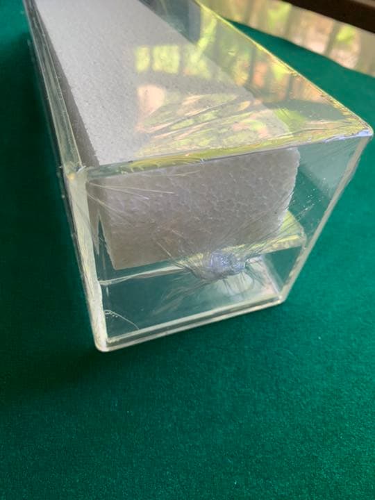 【カジノ】8デック用カードシュー（シューター）