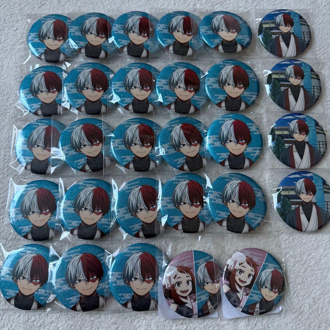 轟焦凍 花やしき 缶バッジ 28点
