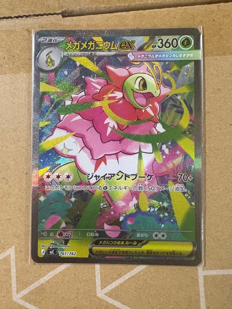 スタートデッキ 100 101 センタリング良好だと思います。メガオーダイル他