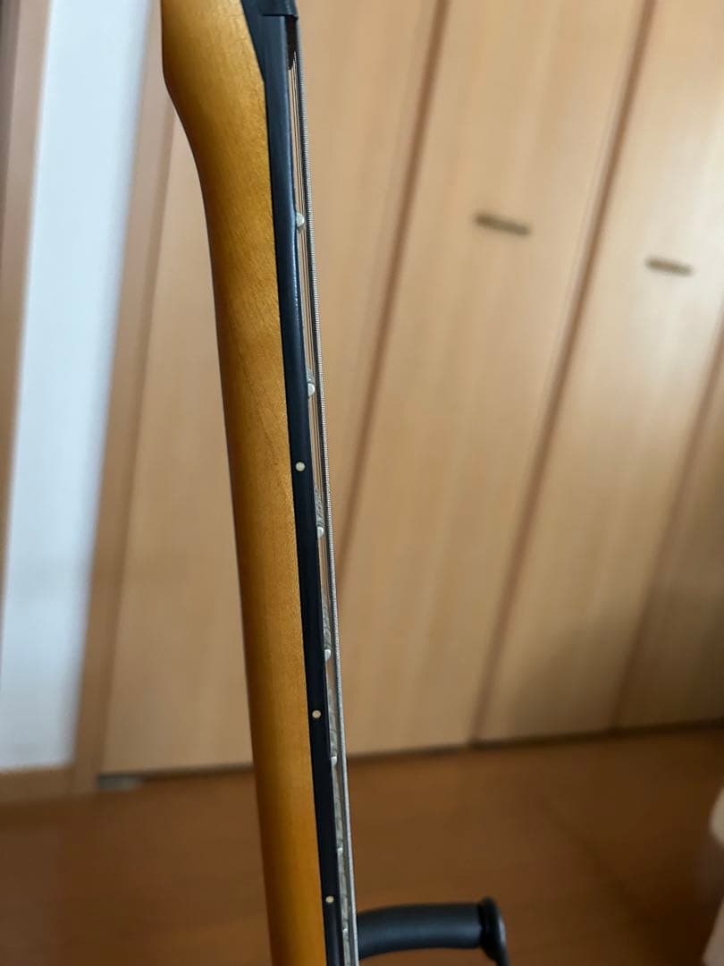 Schecter シェクター エレキギター