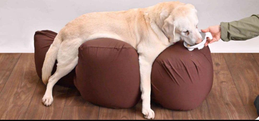 【Ｌサイズ】OneAid リラクッション ブラウン L 専用カバー付き