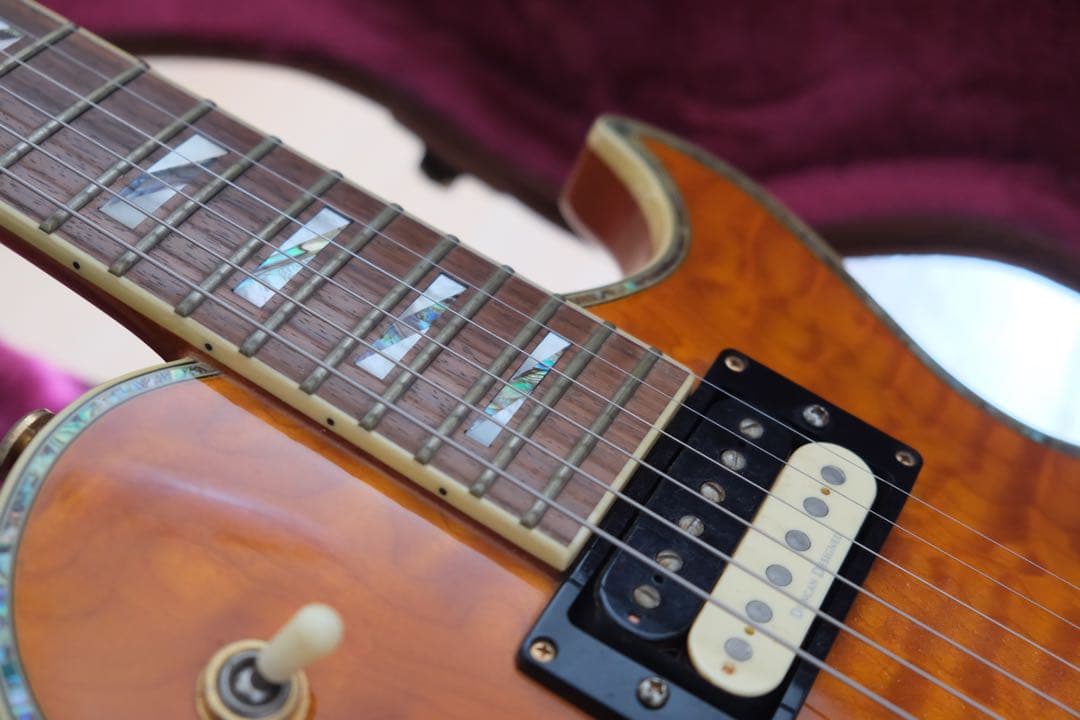 Aria Pro Ⅱ PE-Anniversary 限定モデル ハードケース付属