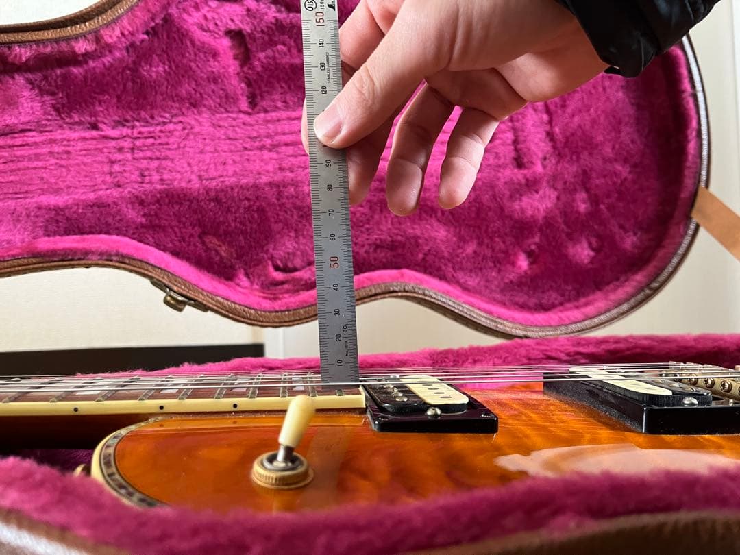 Aria Pro Ⅱ PE-Anniversary 限定モデル ハードケース付属