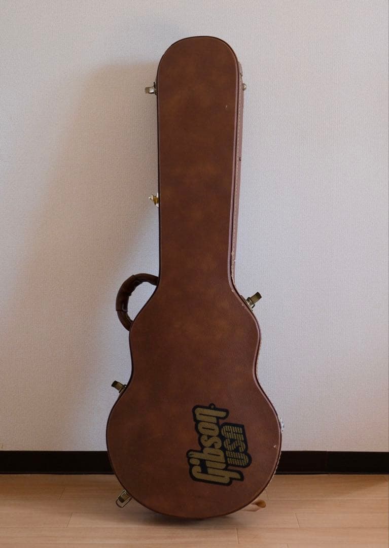 Aria Pro Ⅱ PE-Anniversary 限定モデル ハードケース付属