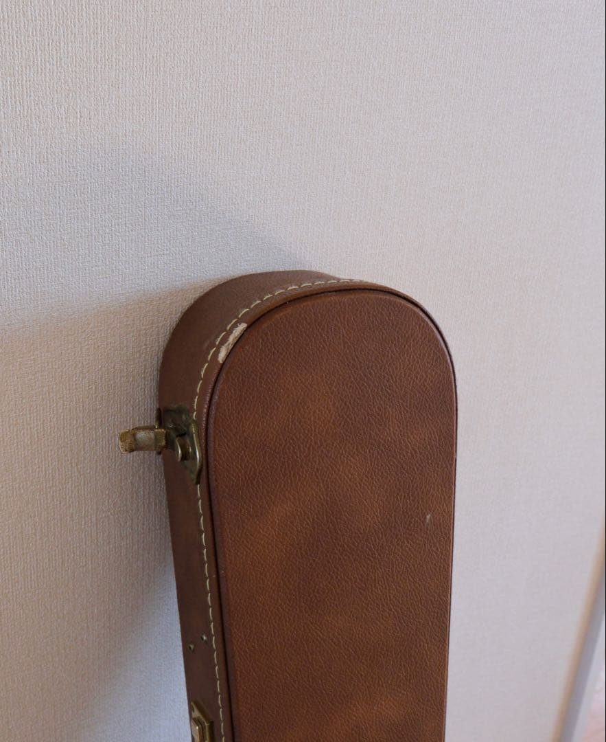 Aria Pro Ⅱ PE-Anniversary 限定モデル ハードケース付属