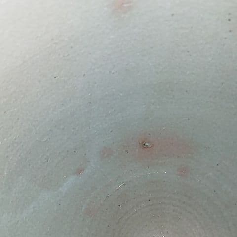 竹軒  菓子器  鉢  煎茶道具  茶道具