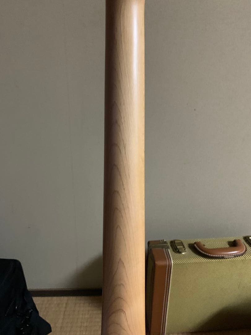 Squier Telecaster マルチカラー