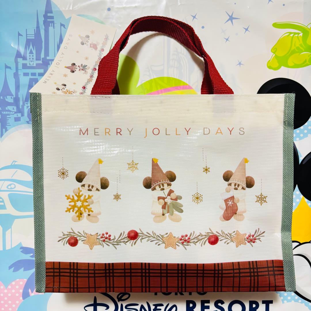 ディズニー⭐️リルリンリン 2025 ディズニークリスマス お菓子セット 10点