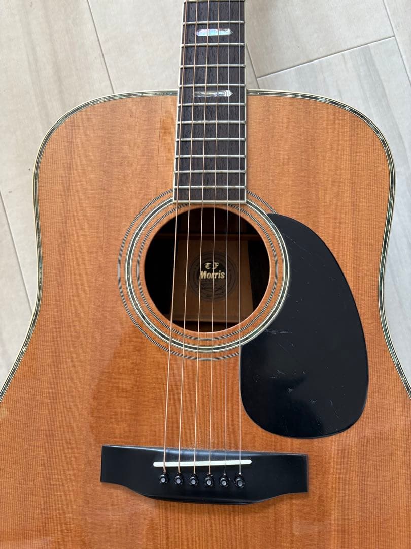 モーリスアーコスティックギターW-50